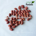 Atacado 100% Raw Four Red Skin Peanut Kernels